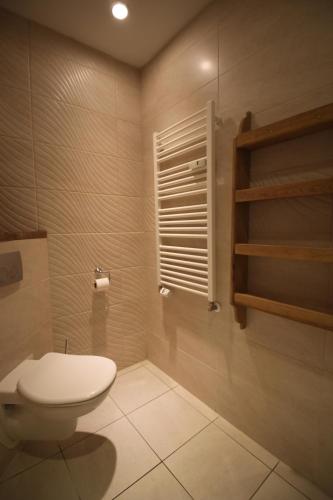 a bathroom with a toilet and a window at Ferienwohnung im Gutshaus Mühlhof in Prenzlau