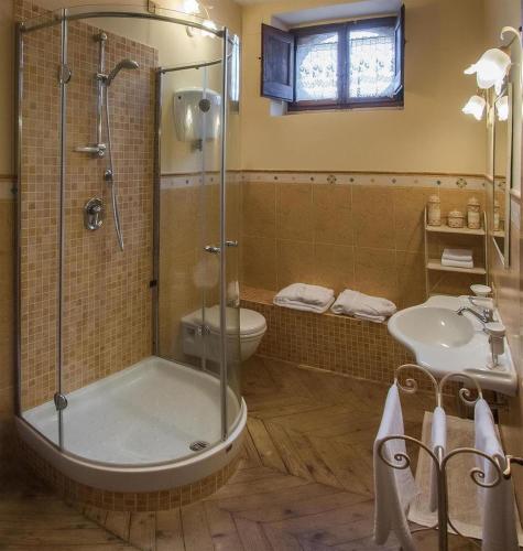 a bathroom with a shower and a toilet and a sink at Castello Borgia in Passignano sul Trasimeno