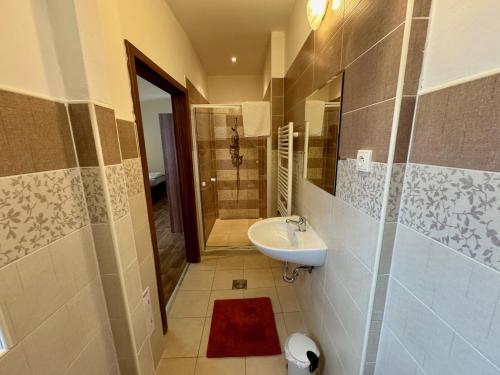 a bathroom with a sink and a shower at Apartmány Laubeho náměstí in Teplice