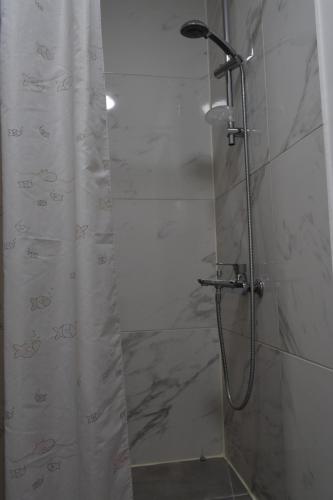 a shower with a shower curtain in a bathroom at MAMA'S FLAT - ΤΟ ΔΙΑΜΕΡΙΣΜΑ ΤΗΣ ΜΑΜΑΣ in Strovolos