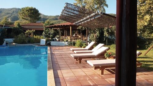 a group of lounge chairs next to a swimming pool at Kissos Apartments in Vourvourou