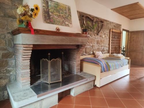 1 dormitorio con chimenea y cama. en Agriturismo Podere Fiume, en Pratovecchio