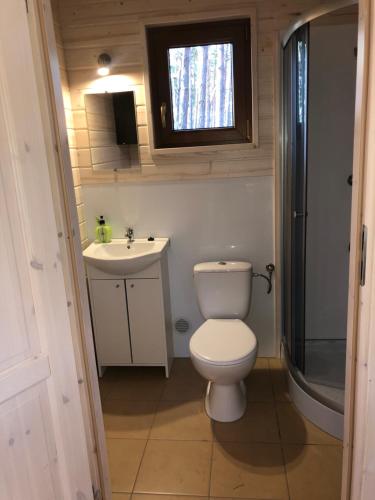 a small bathroom with a toilet and a sink at WYPOCZYWANKO DOMEK PIERWSZA LINIA BRZEGOWA in Borsk