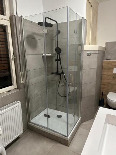 a shower with a glass door in a bathroom at Cheema Apartments Frankfurt am Main in Frankfurt/Main