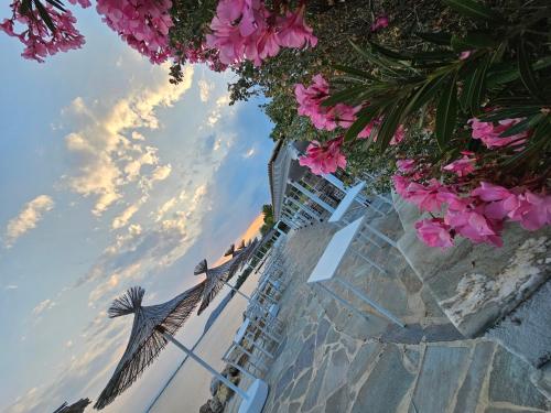 Gallery image of O Paradise beach Resort and Spa in Magoúla