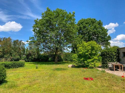 a yard with a picnic table and a tree at Ferienwohnungen Klein Kapelle in Gingst