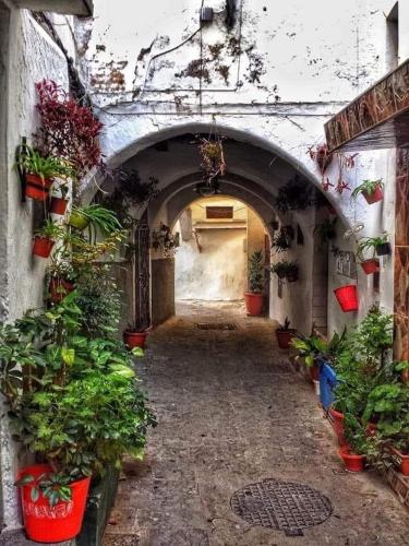 an alley with potted plants in a building at Casa Marwan in Tetouan