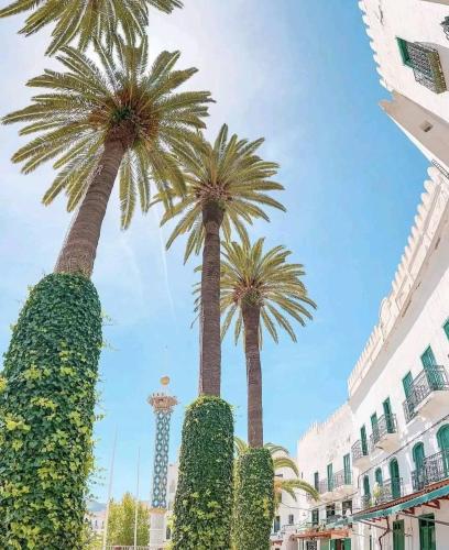 two palm trees in front of a building at Casa Marwan in Tetouan