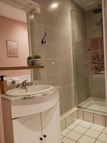 y baño con lavabo y ducha. en Moulin de Sansonneche - Gite Laine 