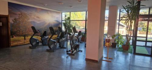 un gimnasio con bicicletas cardiovasculares y una gran pintura en la pared en Pokoje Dom Turysty Sanok 24h en Sanok