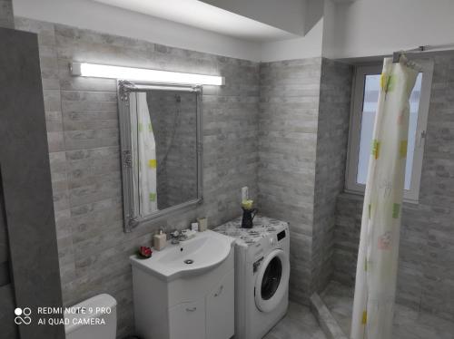 uma casa de banho com uma máquina de lavar roupa e um lavatório em Nairda apartament em Suceava