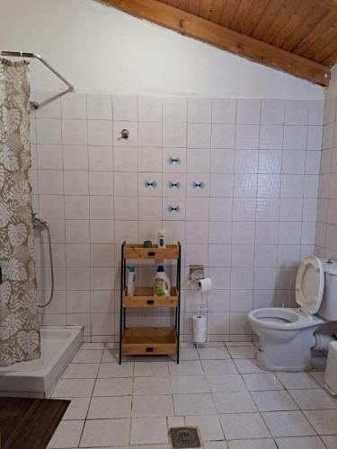 a bathroom with a toilet and a shower and a sink at Villa Nama in Kissamos