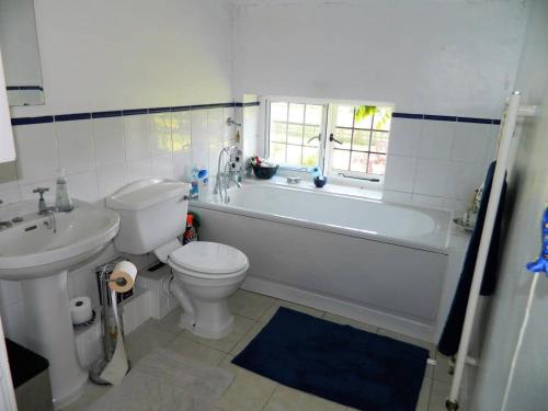 een badkamer met een toilet, een bad en een wastafel bij Victorian cottage overlooking the Plym Valley in Bickleigh