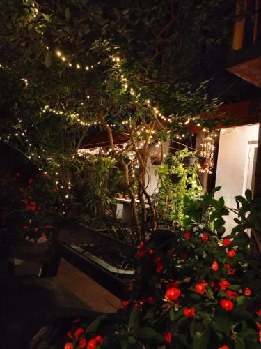 a garden with a bonsai tree with lights at Raj Mahal Inn in Wadduwa