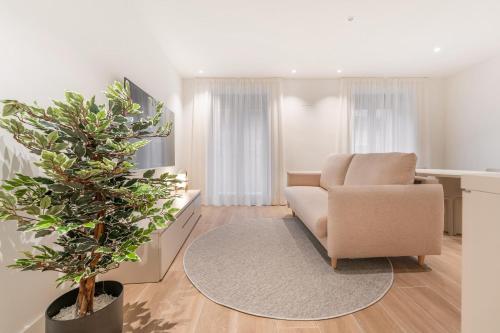 a living room with a chair and a plant at Casa Lambda in Jaca