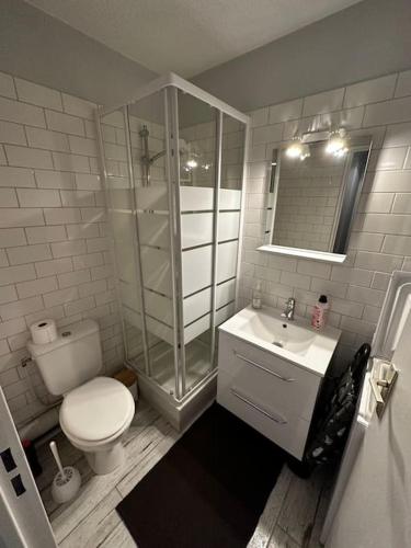 a bathroom with a toilet and a shower and a sink at Appartement centre Arcachon in Arcachon