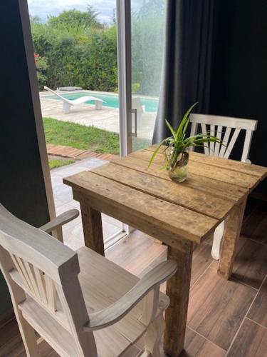 a wooden table with a potted plant on it at lo de lucio in Almafuerte