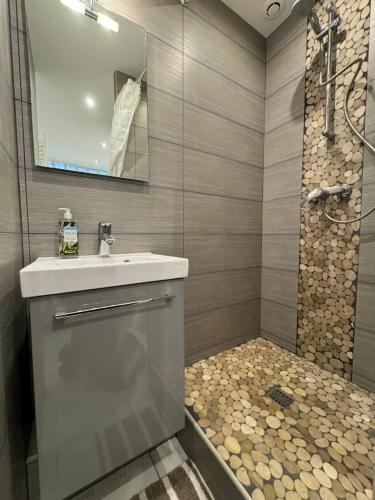 une salle de bain avec un lavabo et une douche dans l'établissement Appartement t2 résidence cap liouquet, à La Ciotat