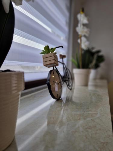 a clock sitting on a table with a plant on it at Apartment LARA in Sankt Peter am Bichl
