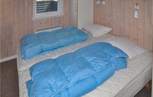 ノーポにあるPet Friendly Home In Nordborg With Saunaの大型ベッド(上に青い枕付)
