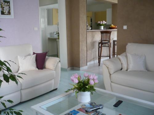 a living room with two couches and a glass table at Appartement Le Jardin in Lingolsheim