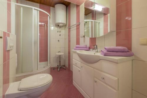 a bathroom with a sink and a toilet and a mirror at RASTOVCAN P in Povile