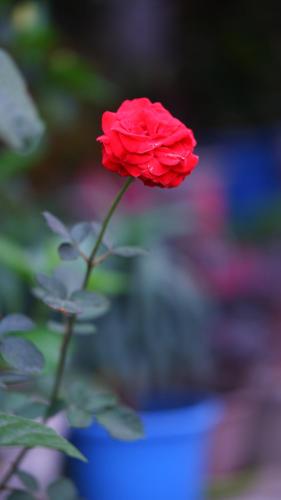 Gallery image of Ananya Hotel in Digha