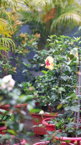 Gallery image of Ananya Hotel in Digha