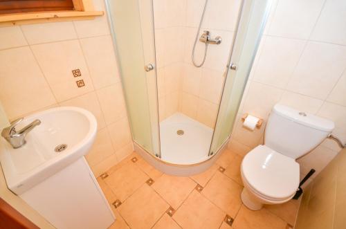 a bathroom with a shower and a toilet and a sink at Domki Bahama in Bobolin