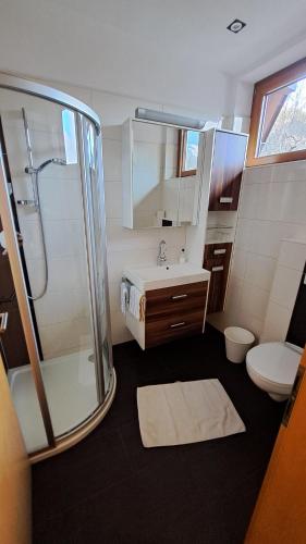 a bathroom with a shower and a toilet and a sink at Landhaus Rauch in Schwendau