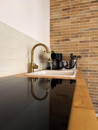 a kitchen counter with a sink and a brick wall at Wunderschönes Terrassen-Appartement in Leipzig