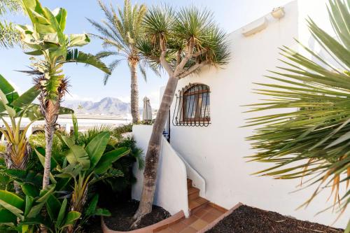 een binnenplaats met palmbomen en een wit gebouw bij HD Parque Cristobal Tenerife in Playa de las Americas