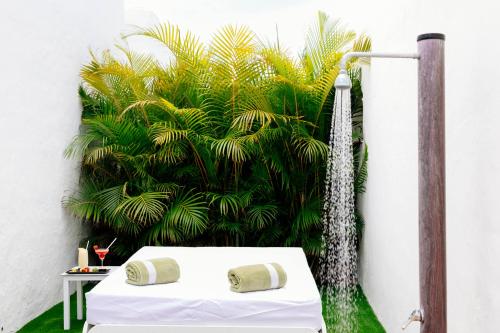 - une douche dans une chambre avec un lit et des plantes dans l'établissement HD Parque Cristobal Tenerife, à Playa de las Americas