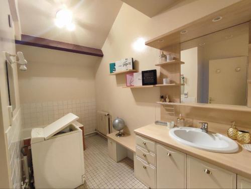 un bagno con lavandino e specchio di LE DUPLEX DU MARCHÉ a Châteauroux