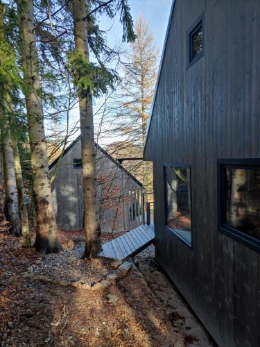 a black house in the woods next to trees at Slow Huts in Miedzygorze
