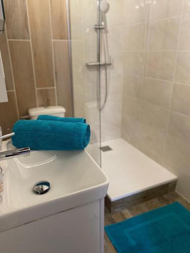 グラースにあるAppartement Cœur de Grasseの- バスルーム(シンクに青いタオル付)