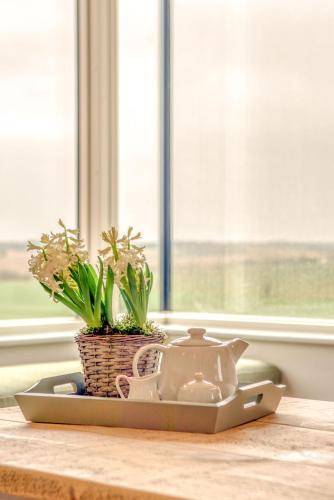 a tea pot and plants on a kitchen counter at Downs in Blewbury