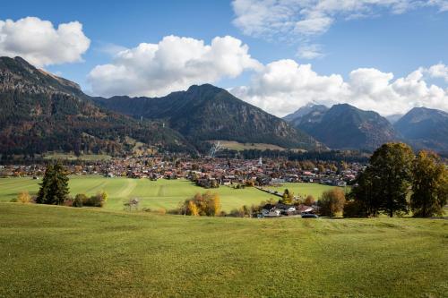 a town in a valley with mountains in the background at In der Leite in Oberstdorf