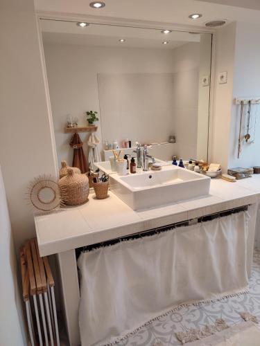 une salle de bain avec un lavabo et un grand miroir dans l'établissement À 15 minutes de Paris, bel appartement au calme, à Colombes