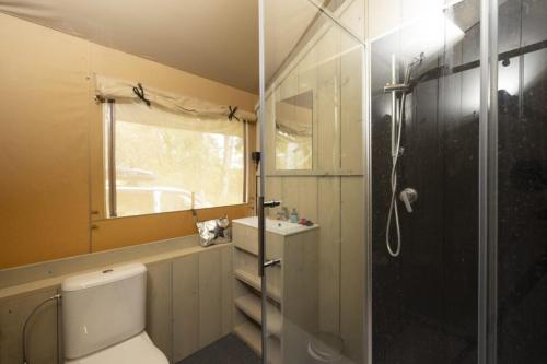 een badkamer met een douche, een toilet en een wastafel bij Camping USHUAÏA Villages Au Bois Joli in Andryes