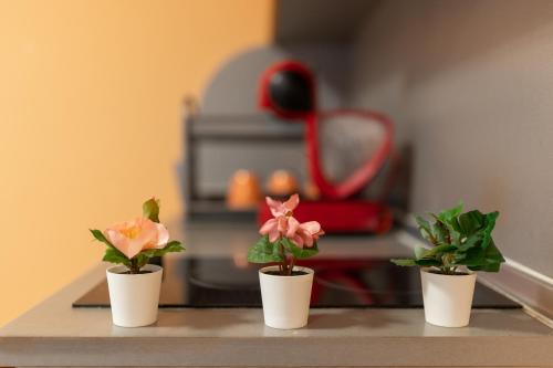 three small potted plants sitting on a table at Вили Тихия Кът in Ribarica