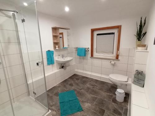 een badkamer met een douche, een toilet en een wastafel bij Ferienwohnung (R)Auszeit in Wildemann