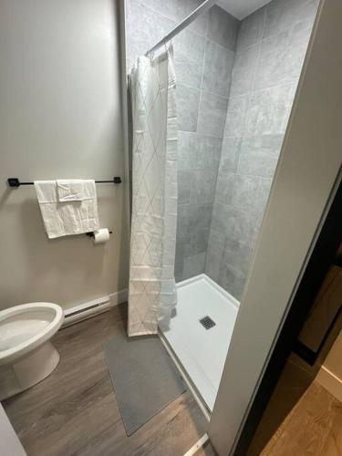 a bathroom with a shower and a toilet at Modern One Bedroom Suite in Halifax