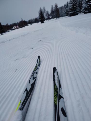 a pair of skis standing in the snow at Slow Huts in Miedzygorze