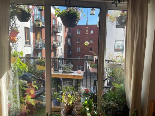 ventana con vistas a un balcón con plantas en Belvedere, en Dublín