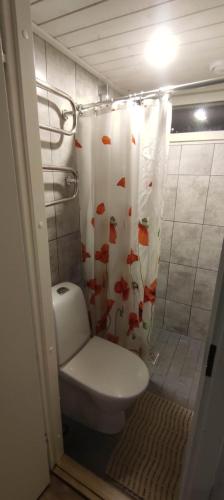een badkamer met een toilet en een douchegordijn bij Laulasmaa Sleeps in Laulasmaa