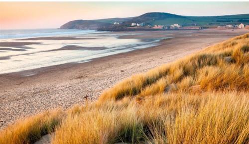 a view of a beach with tall grass and the ocean at Deer View in Bishops Tawton