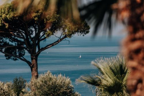 a sail boat in the water with a tree at Talići Hill - Rustic Villas in Sutomore