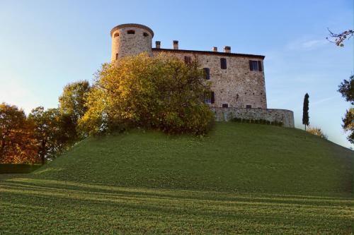 a castle on top of a grassy hill at Castello di Viano in Viano