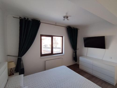 Schlafzimmer mit einem Bett, einem Fenster und einem TV in der Unterkunft Casa Barnova in Vişan